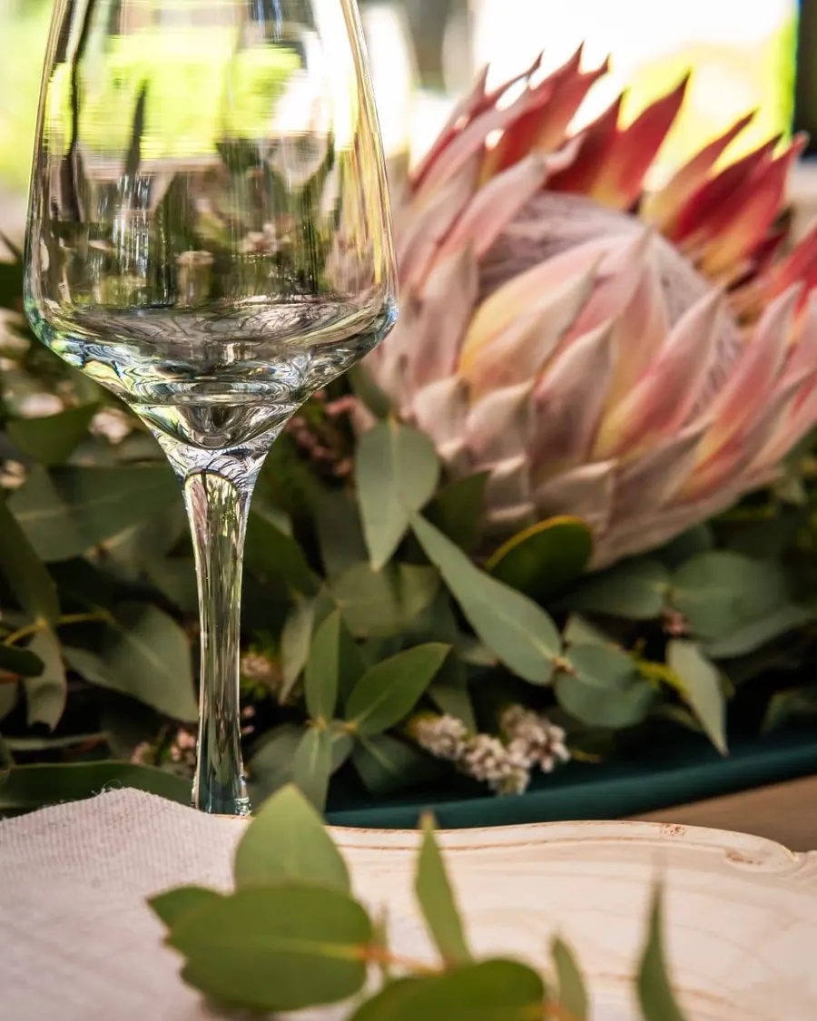 A pale pink king protea beside a crystal wine glass on a table setting with a eucalyptus sprig.