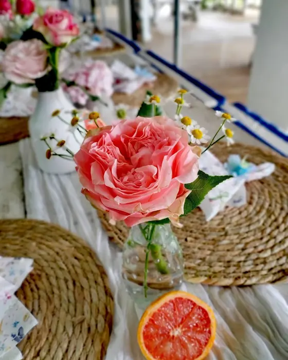 A large coral garden rose in a bud vase beside half a grapefruit on a woven placemat.